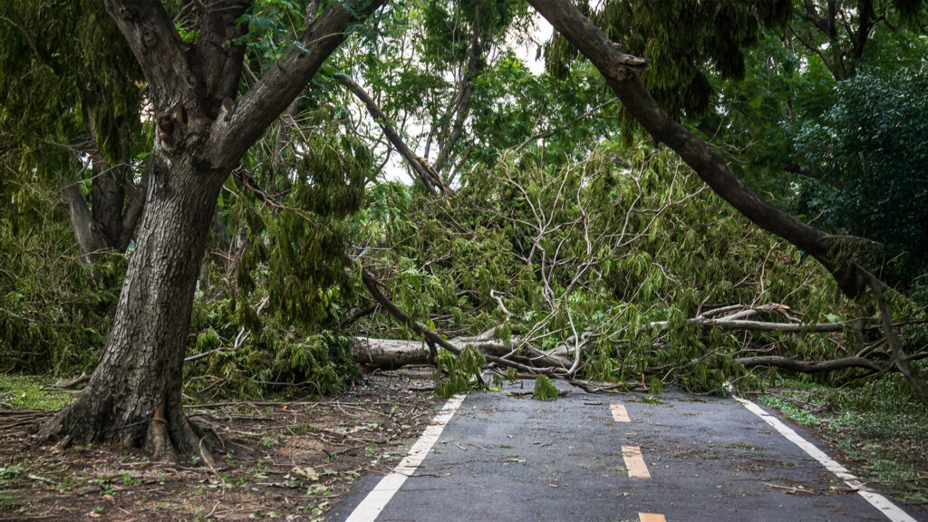 apagones en queretaro